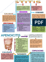 Mapa Conceptual