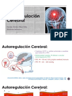 Autorregulación Cerebral - Resumen de Articulo Hipercarbia