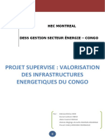 DESS CONGO Valorisation Rapport