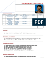 Curriculum Vitae PDF