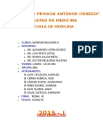 Informe (Caso #12)