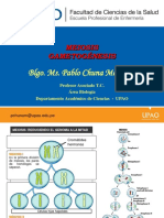 Meiosis - Gametogenesis