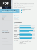 Modelo CV Pasantías DD