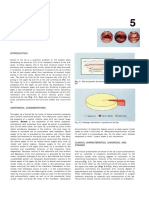 The Lips: Fig. 5.1 Site and Gender Distribution: Squamous Cell Carcinoma of The