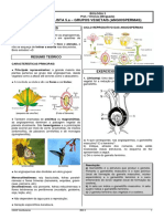 Questões de Alto Nível