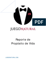 Juego Natural Reporte de Proposito de Vida