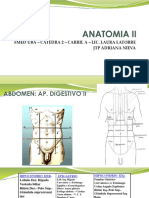 Digestivo 2 - Abd Supra e Inframesocolico