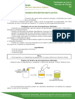 Uso de Microrganismos Eficientes em Plantas, Sementes e Solo