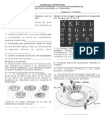 Taller Mitosis 8° I Periodo 2018