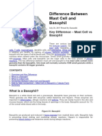 Difference Between Mast Cell and Basophil