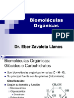 Biomoleculas Organicas