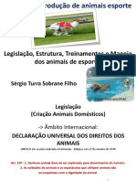 Sistema de Produção de Animais Esporte