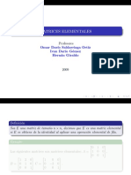 Matrices Elementales PDF