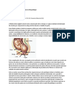 A Fístula Obstétrica e A Situação em Moçambique