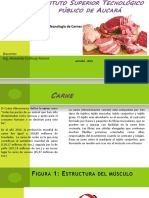 Tecnología de Carne