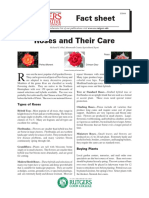 Roses and Their Care PDF