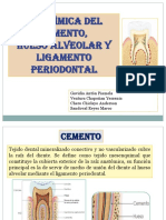 Hueso Alveolar, Ligamento y Cemento