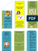 Triptico de Los Trastornos Alimenticios