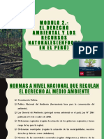 Derecho Ambiental - MÓdulo II SÍlabo