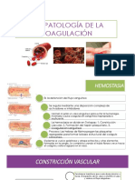 Fisiopatología de La Coagulación