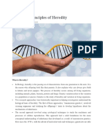 Genetics Principle of Heredity