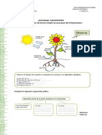 Guia Fotosintesis Sexto