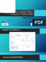 Análisis Microentorno y Macroentorno de La Empresa, Cuadro Pictografico y Definicion Raiz