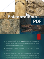 Paleontología