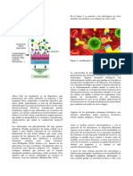 Biosensores