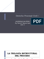 Trilogia Estructural Del Proceso