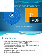 Lecture7 Phosphorus PDF