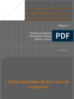 Módulo 3 - Estudio de Caso - Diagnóstico de Los Asentamientos Humanos de La Zona V de San Juan de Lurigancho