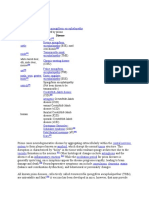 Prion Disease: Transmissible Spongiform Encephalopathy