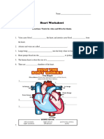 Heart Worksheet: Directions: Watch The Video and Fill in The Blanks