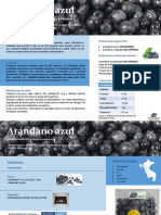 FICHA ARANDANOS Final PDF