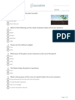 Socrative Plant Quiz