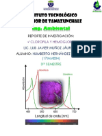 Clorofila y Hemoglobina