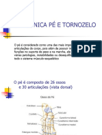 Tornozelo e Pé Cópia PDF