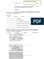 Overview of Muscle Tissues: Key Choices