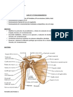 Guía 5 TP Posicionamientos RD I