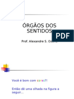 Biologia PPT - Órgãos Dos Sentidos