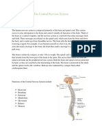 The Cns Portfolio Edition