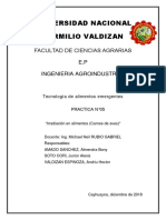 Irradiacion Monografia