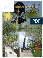 Guia Ilustrada de Las Plantas Del Peten Yucatan PDF