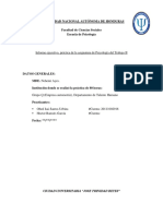 Informe Ejecutivo de Trabajo IZA FINAL