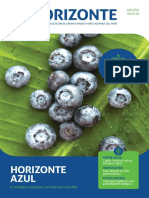 Revista Horizonte 2018-III