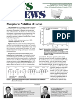 Phosphorus Nutrition of Cotton