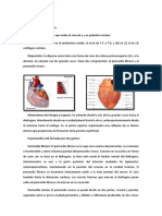 Pericarditis