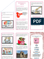 Triptico Democracia Peruana