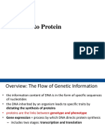 From Gene To Protein